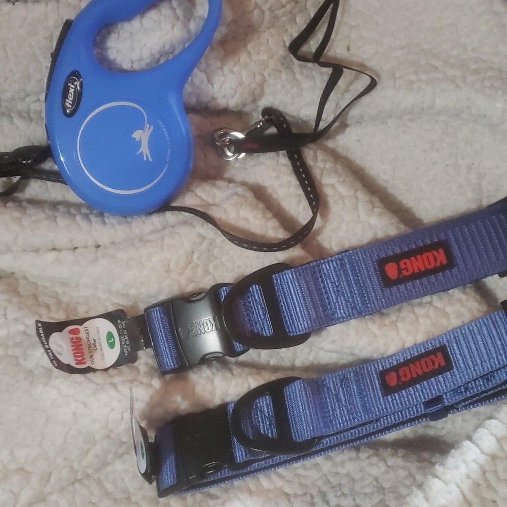 KONG COLLAR AND FLEXI DOG LEASH BRAND NEW BUNDLE PACK